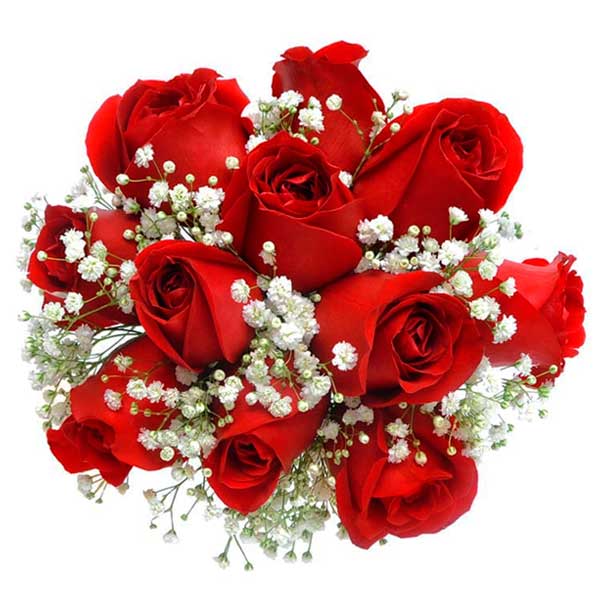 Buque de Noiva, Rosas Vermelhas